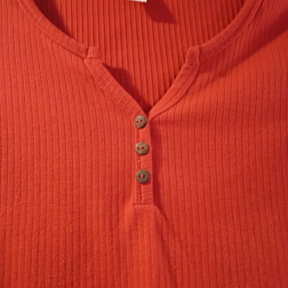 Bozzolo Rust Burnt Orange Cropped Stretch Knit V-Neck ShortSleeve Top Large EUC - Picture 4 of 5
